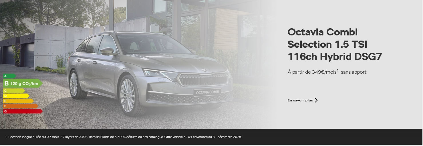 Octavia Combi Selection