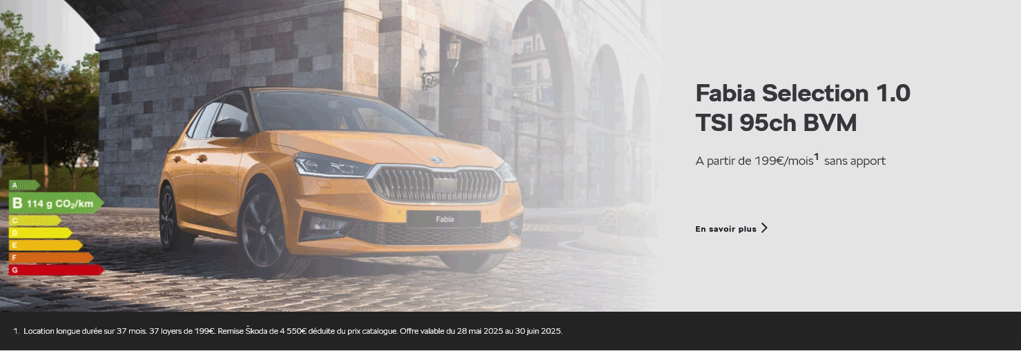 Fabia Selection